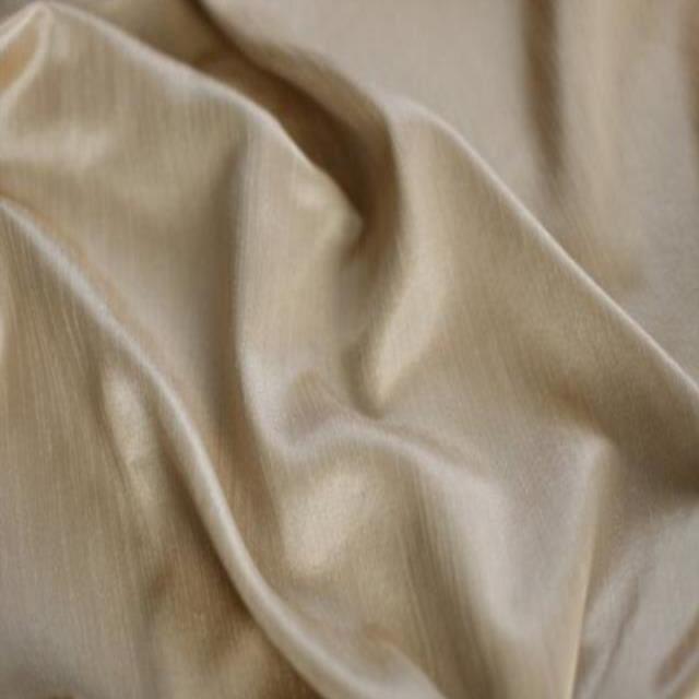 Rental store for CHAMPAGNE SHANGRI LA in Nashville TN