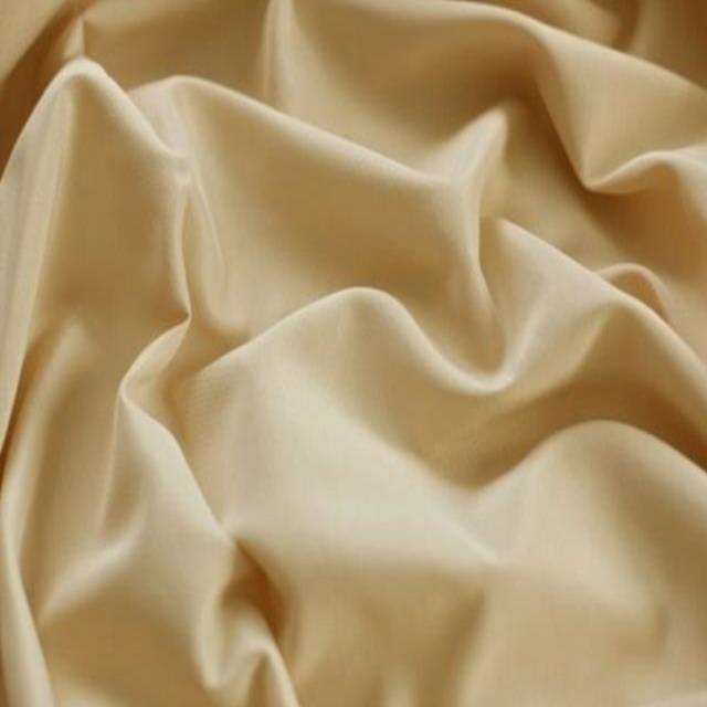 Rental store for CHAMPAGNE POLY in Nashville TN