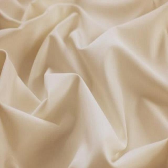 Rental store for IVORY POLY in Nashville TN