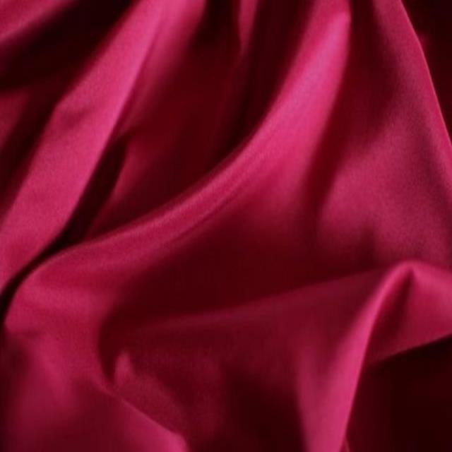 Rental store for RUBY POLY in Nashville TN