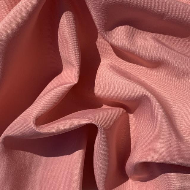 Rental store for AZALEA POLY in Nashville TN